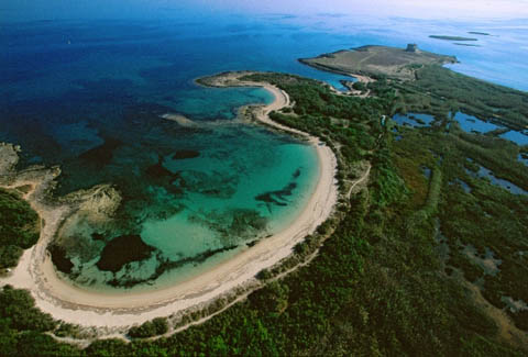 Torre Guaceto