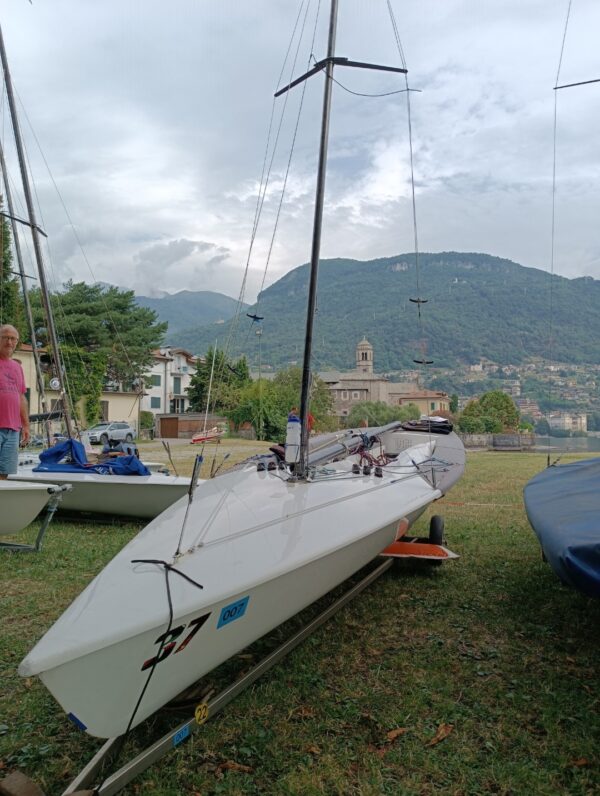 Albero Paragon